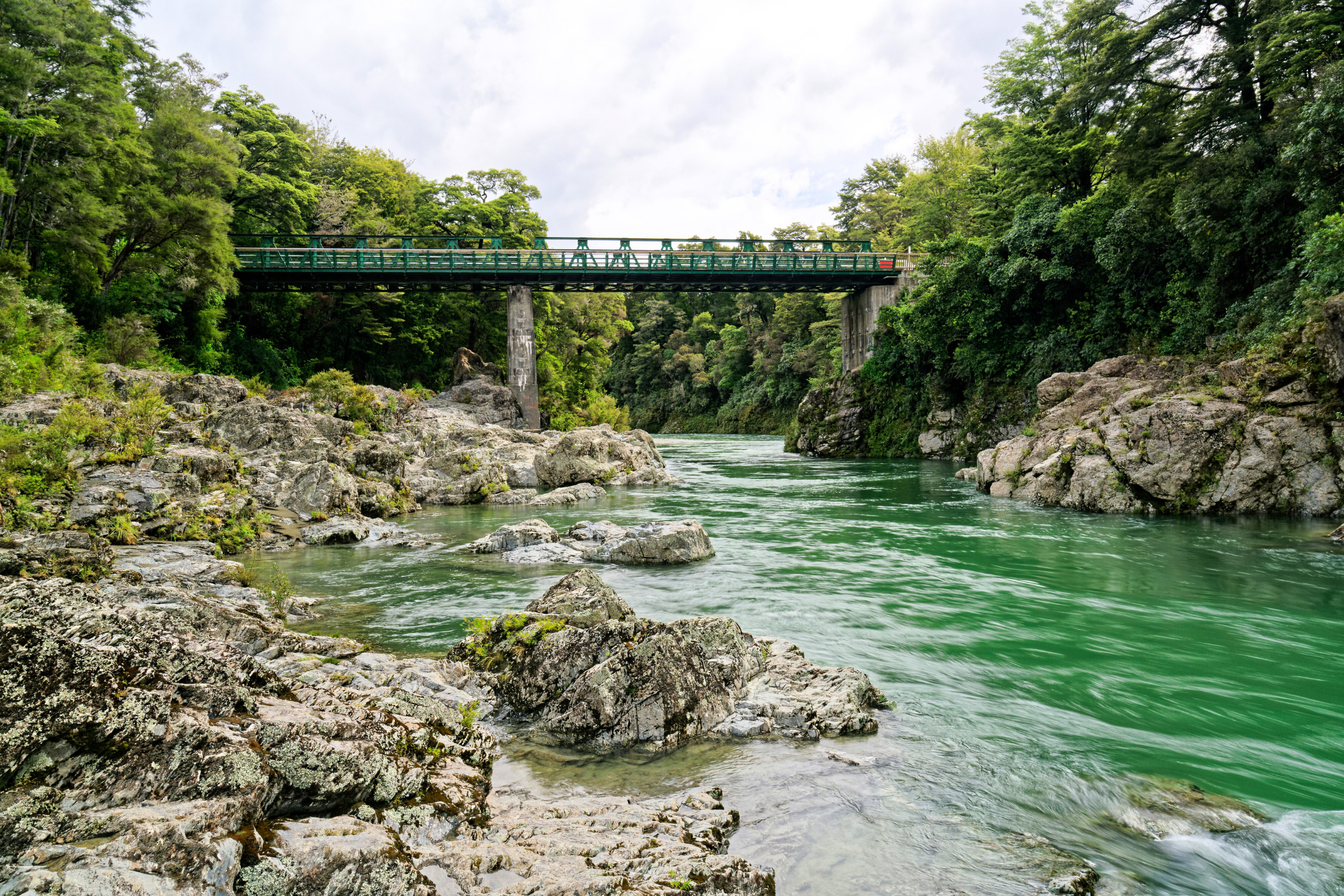pelorus sound (4).webp